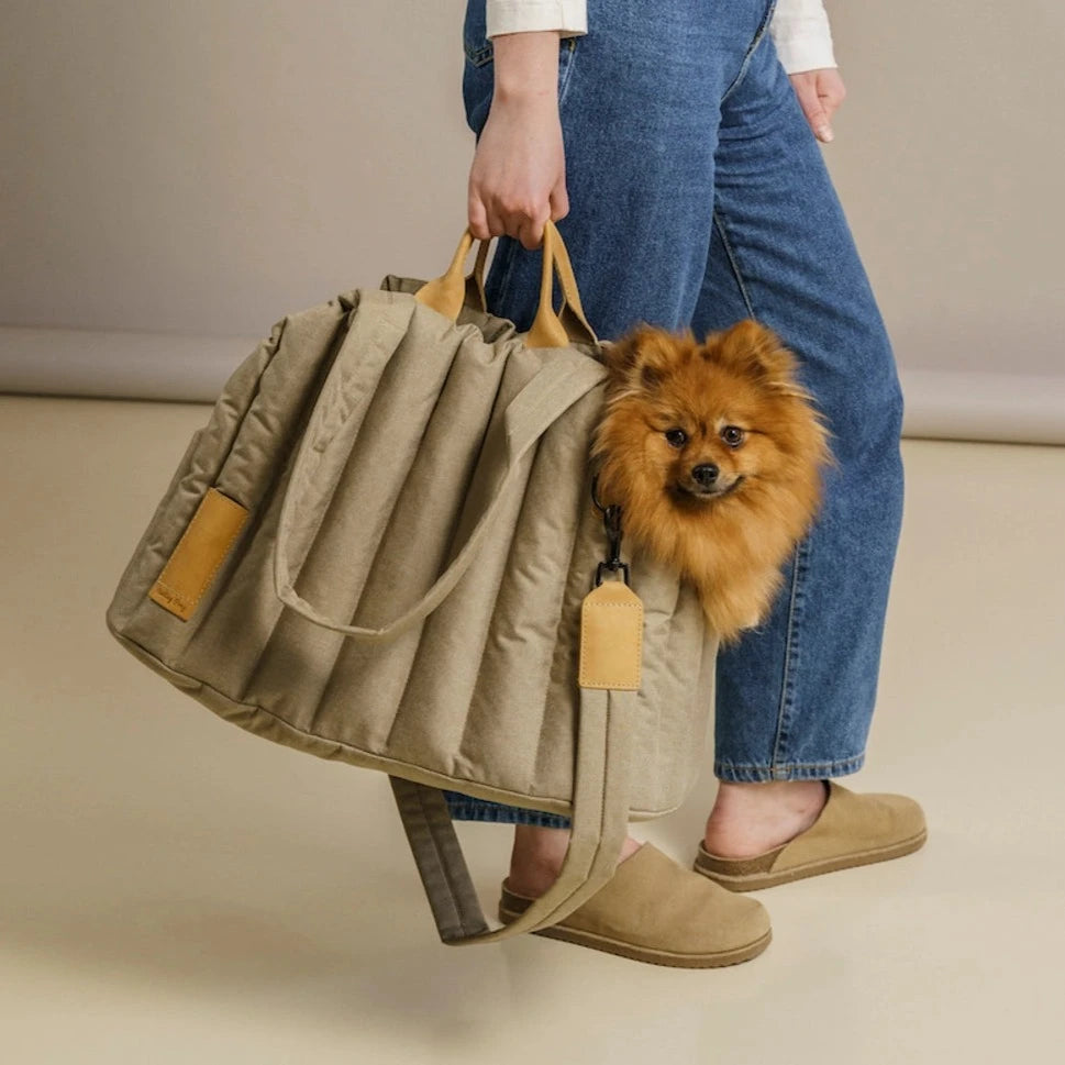 PetVenture Travel Pet Handbag 3-in-1