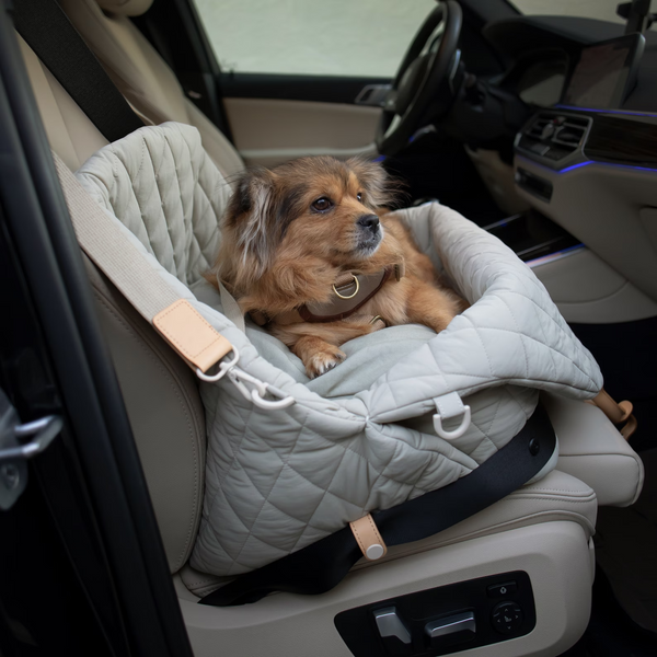 Luxury PetVenture Stylish Pet Handbag & Car Seat 