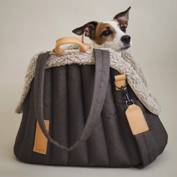 ComfyBag Easy-Go Small Pet Carrier